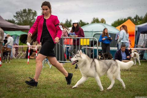 2024 septembre, exposition canine