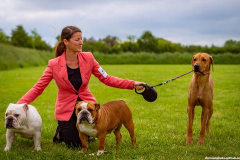 Exposition canine 2024 à Balma